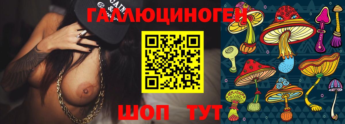 Псилоцибиновые грибы Psilocybe Озёрск